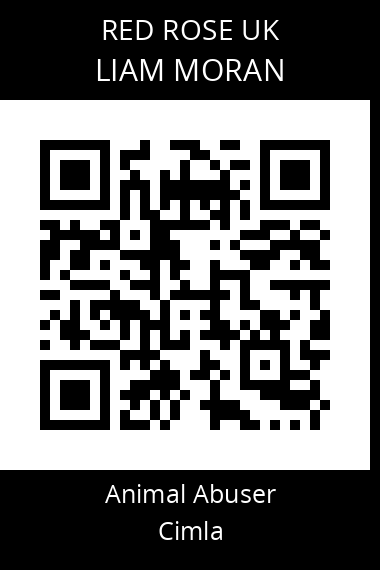 QR code for liam-moran