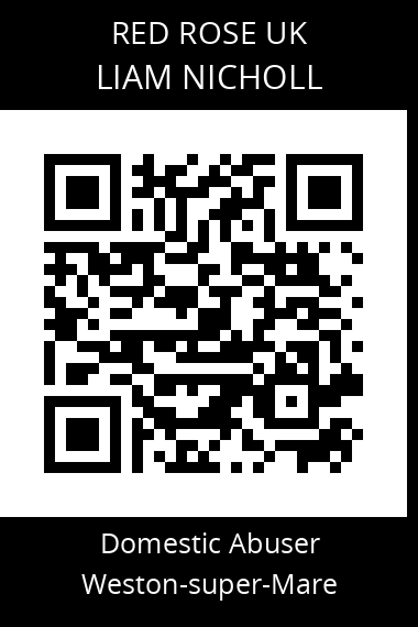 QR code for liam-nicholl-2