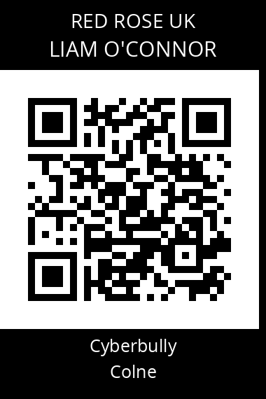 QR code for liam-oconnor-1