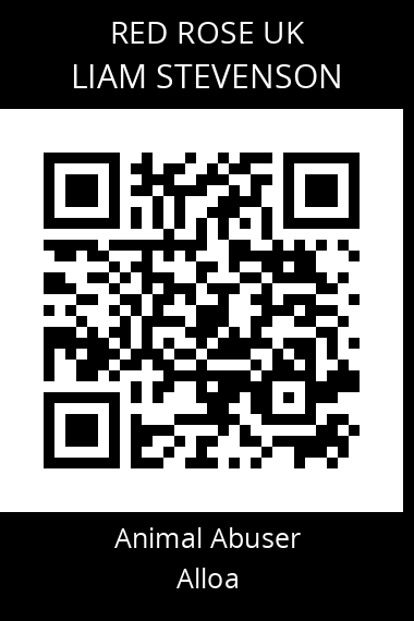 QR code for liam-stevenson