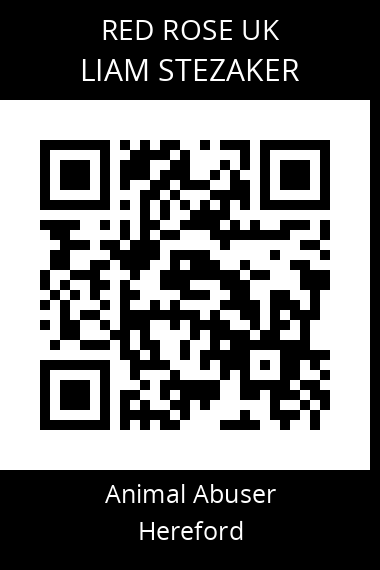 QR code for liam-stezaker