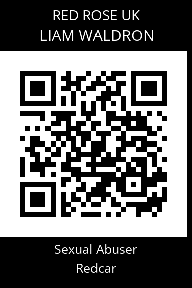 QR code for liam-waldron