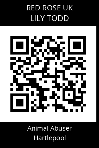 QR code for lily-todd