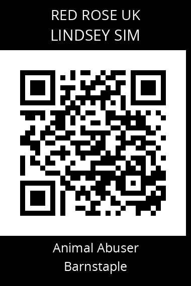 QR code for lindsey-sim