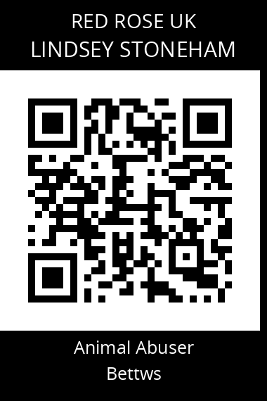 QR code for lindsey-stoneham