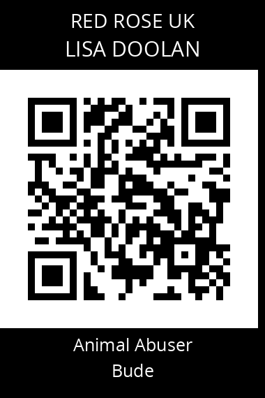 QR code for lisa-doolan-1