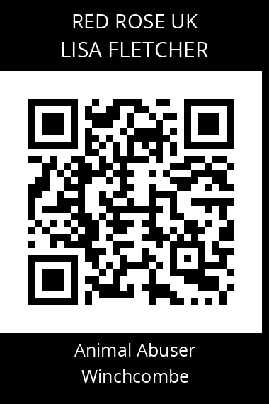 QR code for lisa-fletcher