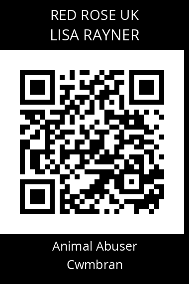 QR code for lisa-rayner