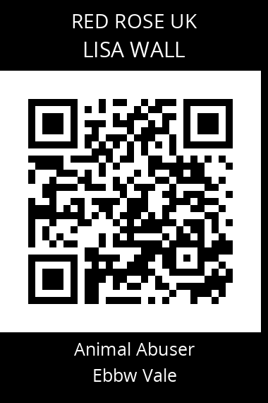 QR code for lisa-wall