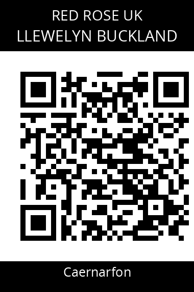 QR code for llewelyn-buckland-1
