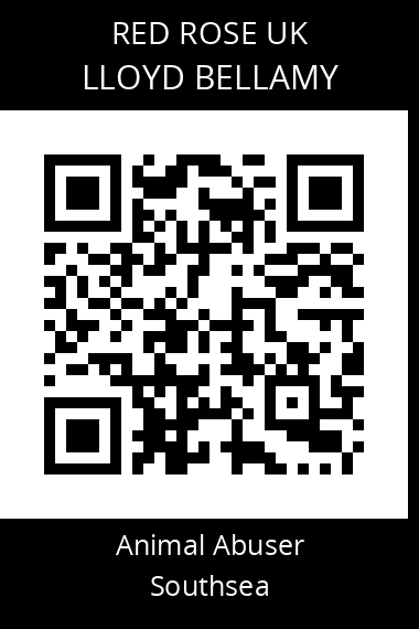 QR code for lloyd-bellamy