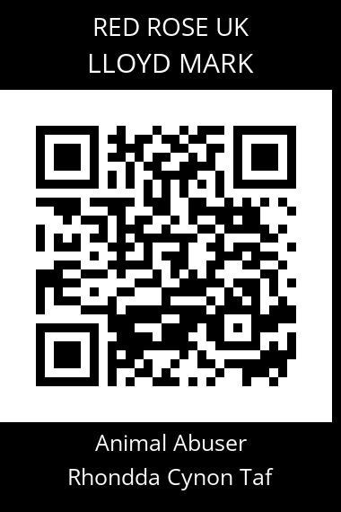 QR code for lloyd-mark-2