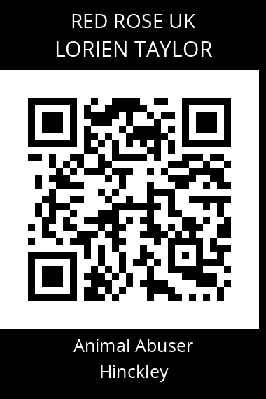 QR code for lorien-taylor