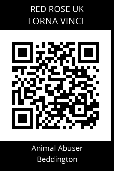 QR code for lorna-vince