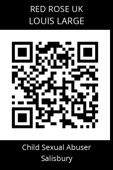 QR code for louis-large