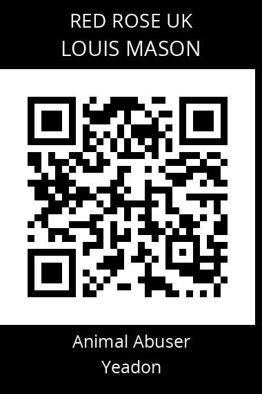 QR code for louis-mason