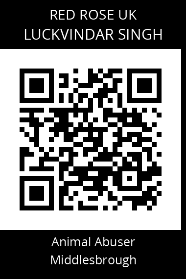QR code for luckvindar-singh