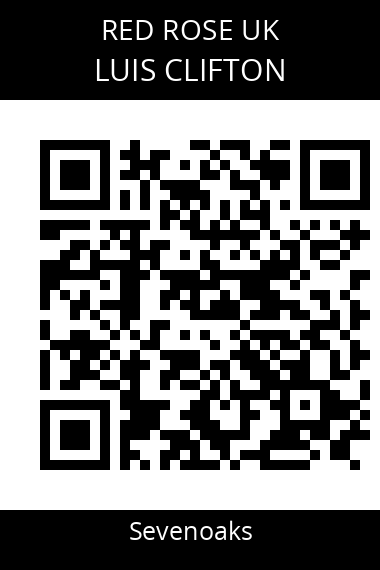 QR code for luis-clifton-ryjpuf