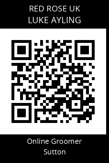 QR code for luke-ayling