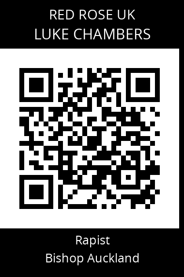 QR code for luke-chambers