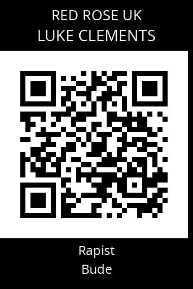 QR code for luke-clements-3