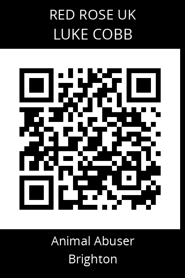 QR code for luke-cobb