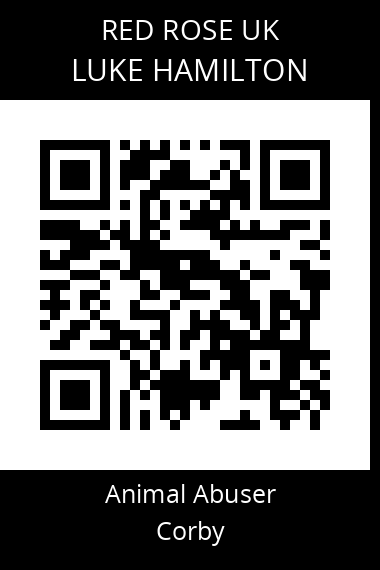 QR code for luke-hamilton