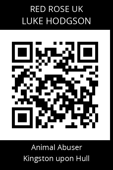 QR code for luke-hodgson