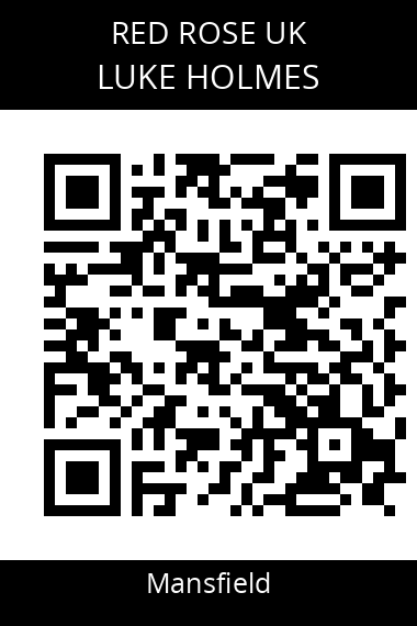 QR code for luke-holmes-debpkz