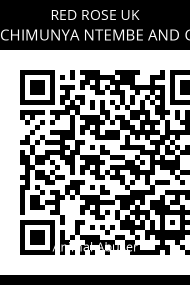 QR code for luke-horn-nchimunya-ntembe-and-corey-destro