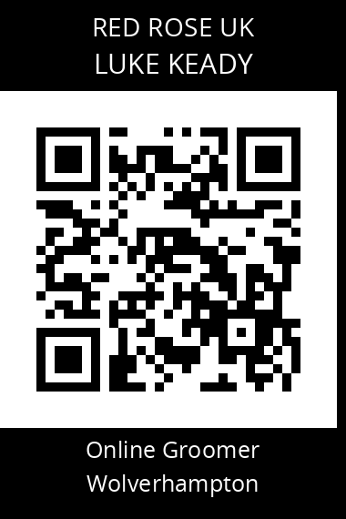 QR code for luke-keady