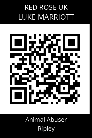 QR code for luke-marriott