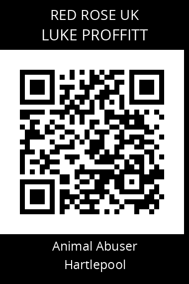 QR code for luke-proffitt