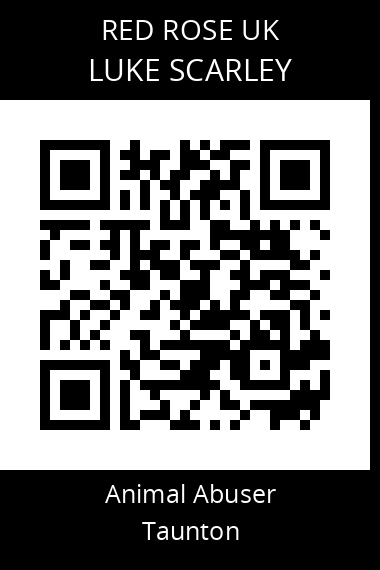 QR code for luke-scarley