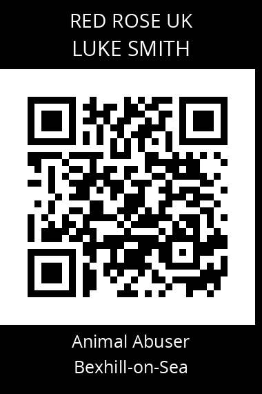QR code for luke-smith-4