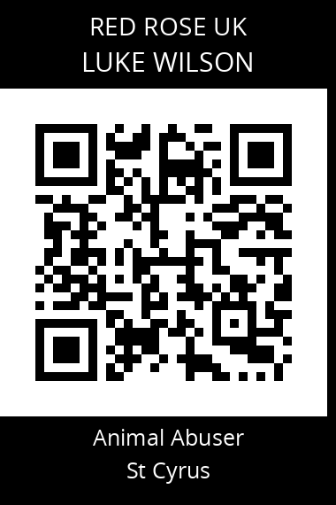 QR code for luke-wilson-2