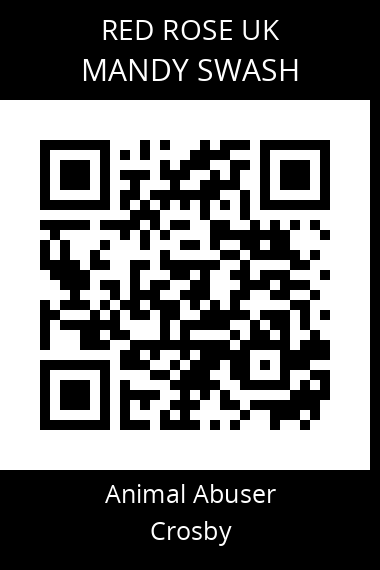 QR code for mandy-swash