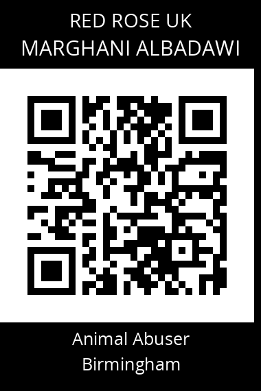 QR code for marghani-albadawi