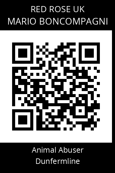 QR code for mario-boncompagni