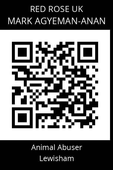 QR code for mark-agyeman-anan