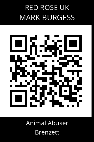 QR code for mark-burgess-2