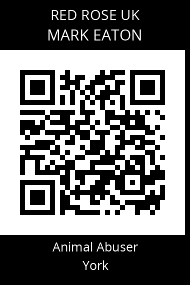 QR code for mark-eaton-1
