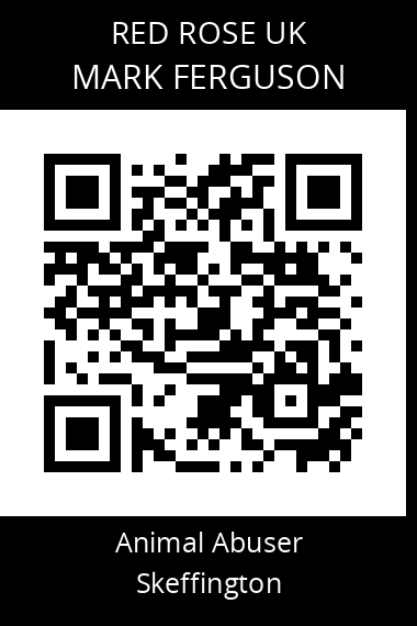 QR code for mark-ferguson-3