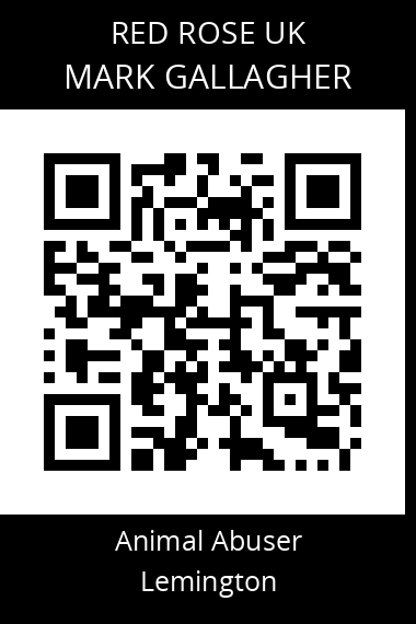 QR code for mark-gallagher-1