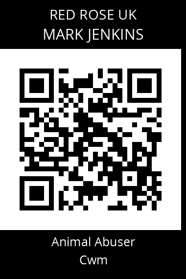 QR code for mark-jenkins-1