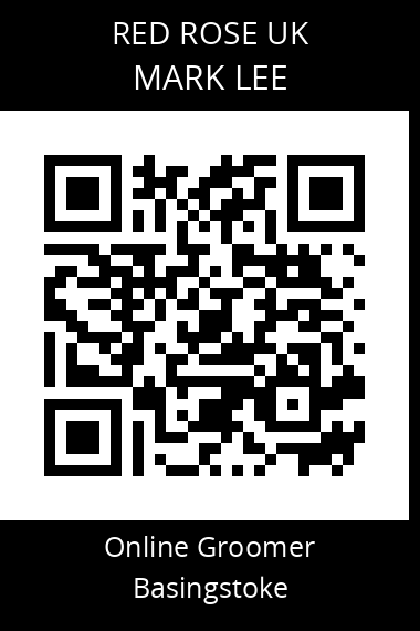 QR code for mark-lee-1