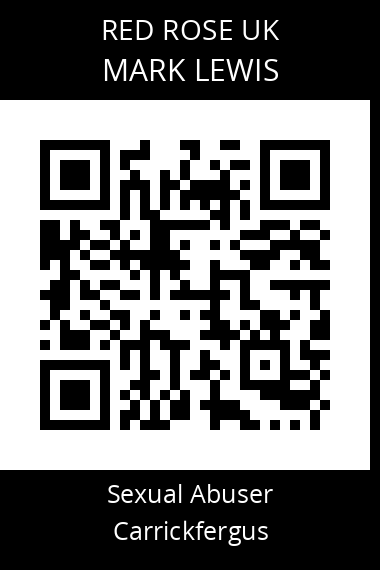 QR code for mark-lewis-1