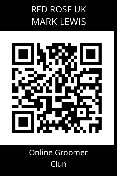 QR code for mark-lewis-4