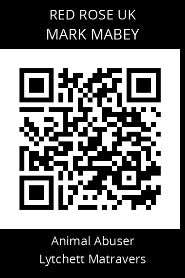 QR code for mark-mabey
