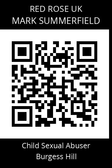 QR code for mark-summerfield